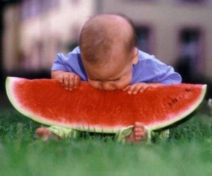 Large watermelon with baby